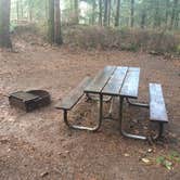 Review photo of Ainsworth State Park Campground by Sarah S., December 15, 2014