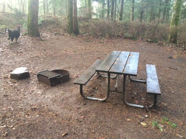 Camper submitted image from Ainsworth State Park Campground - 3