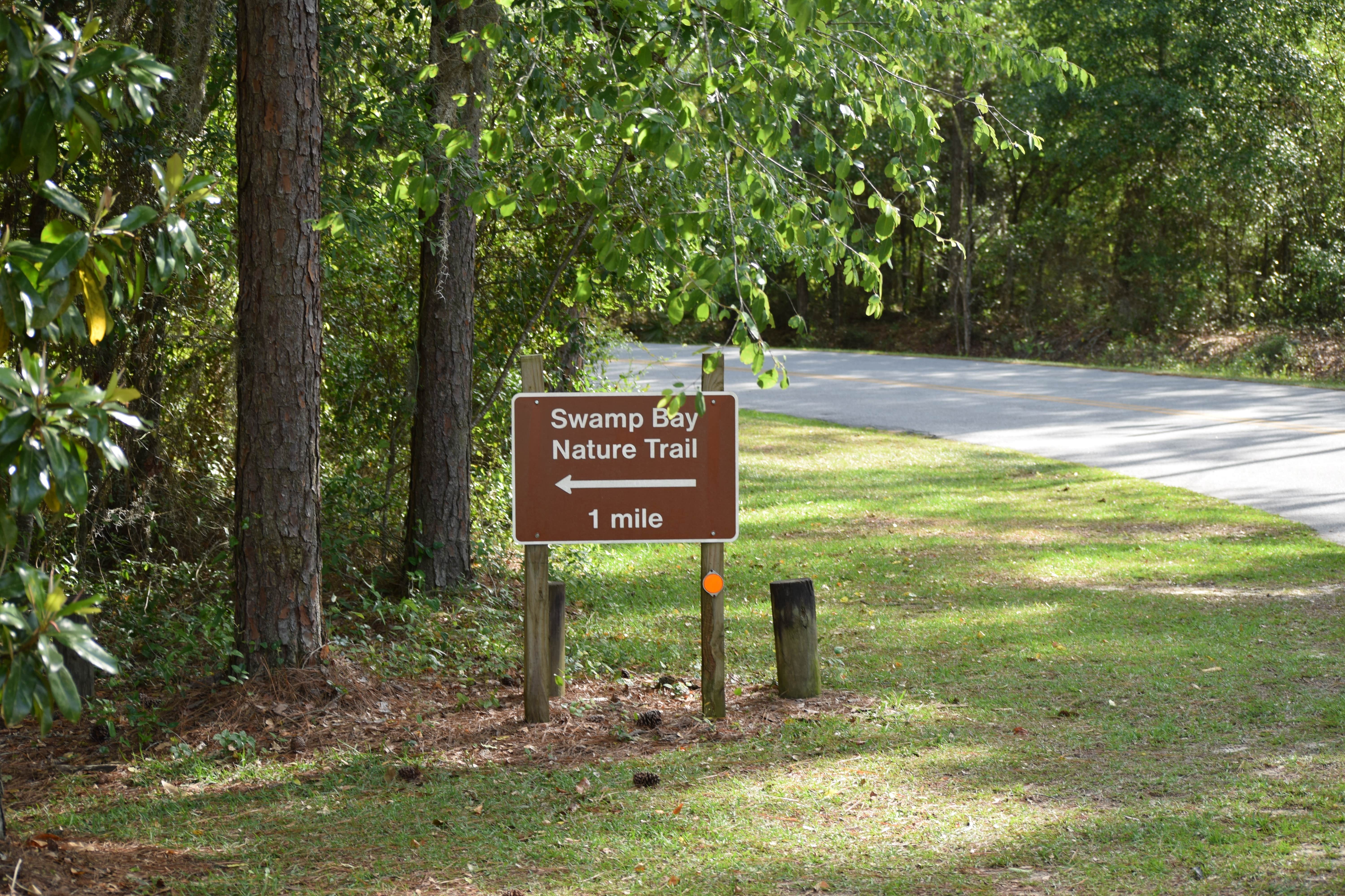Camper-submitted photo at Jack Hill State Park near Twin City, GA