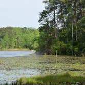 Review photo of Jack Hill State Park by Jeff B., May 16, 2017