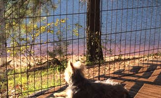 Crystal C.'s photo of camping with pets at Oconee Point near Anderson, SC