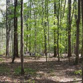 Review photo of Eno River State Park Campground by Chris B., June 18, 2016