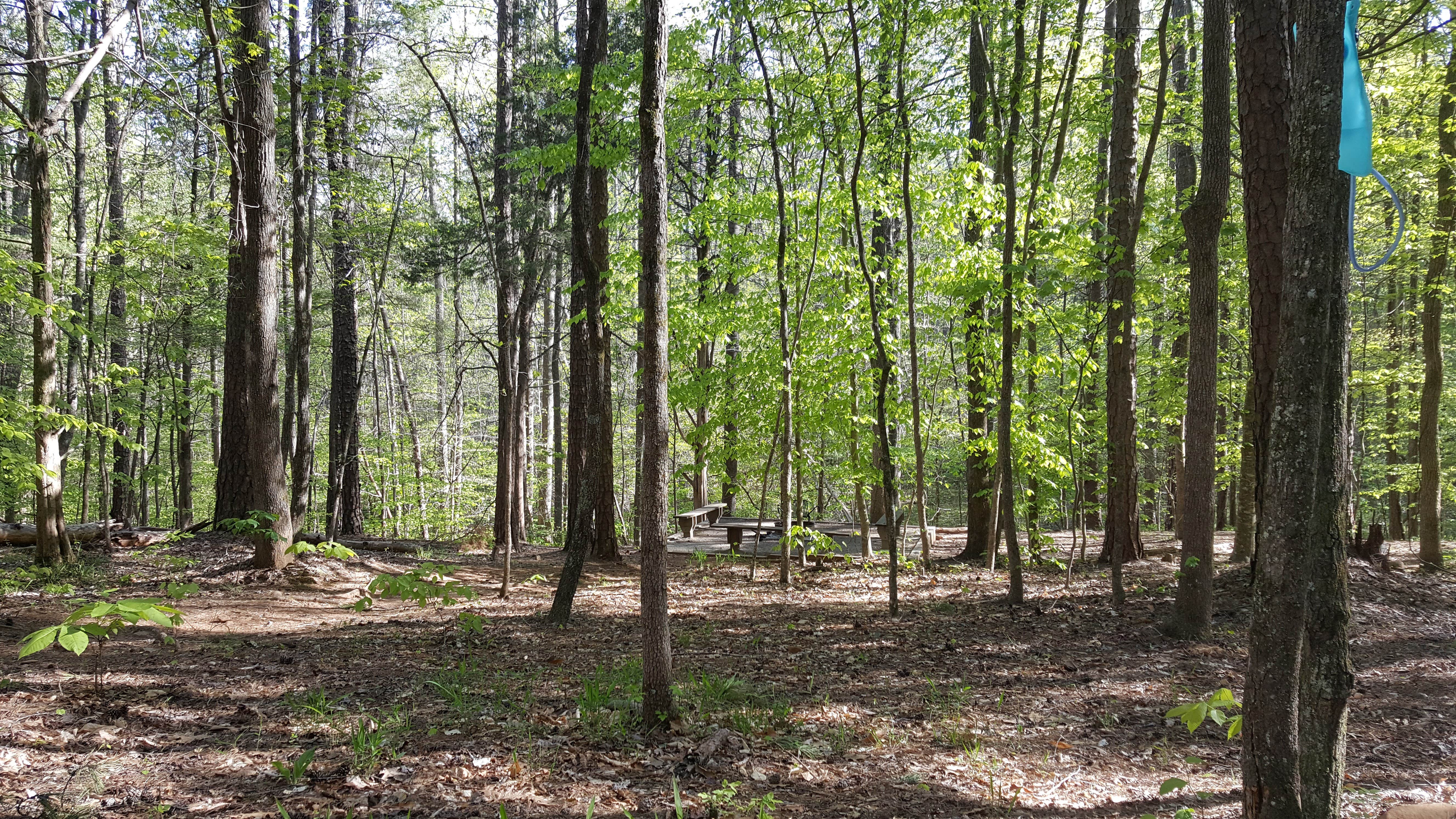 Camper submitted image from Eno River State Park Campground - 2
