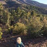 Review photo of Reef Townsite Group Area by Travis D., May 16, 2017