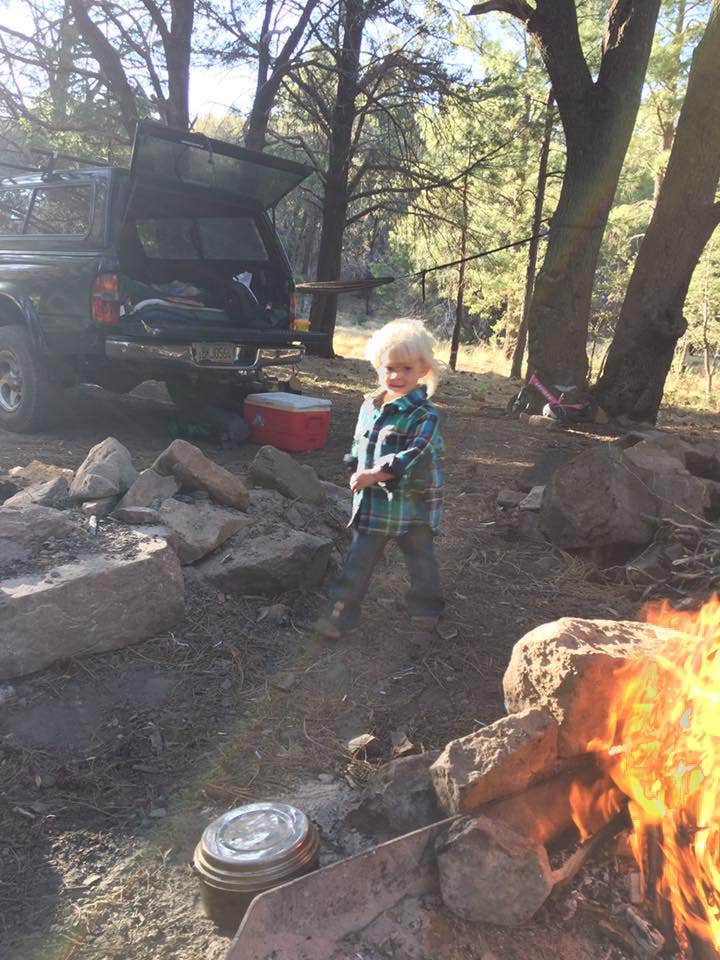 Camper submitted image from Reef Townsite Group Area - 4