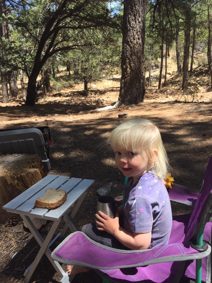 Lunch in the pines.