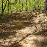 Review photo of Eno River State Park Campground by Chris B., June 18, 2016