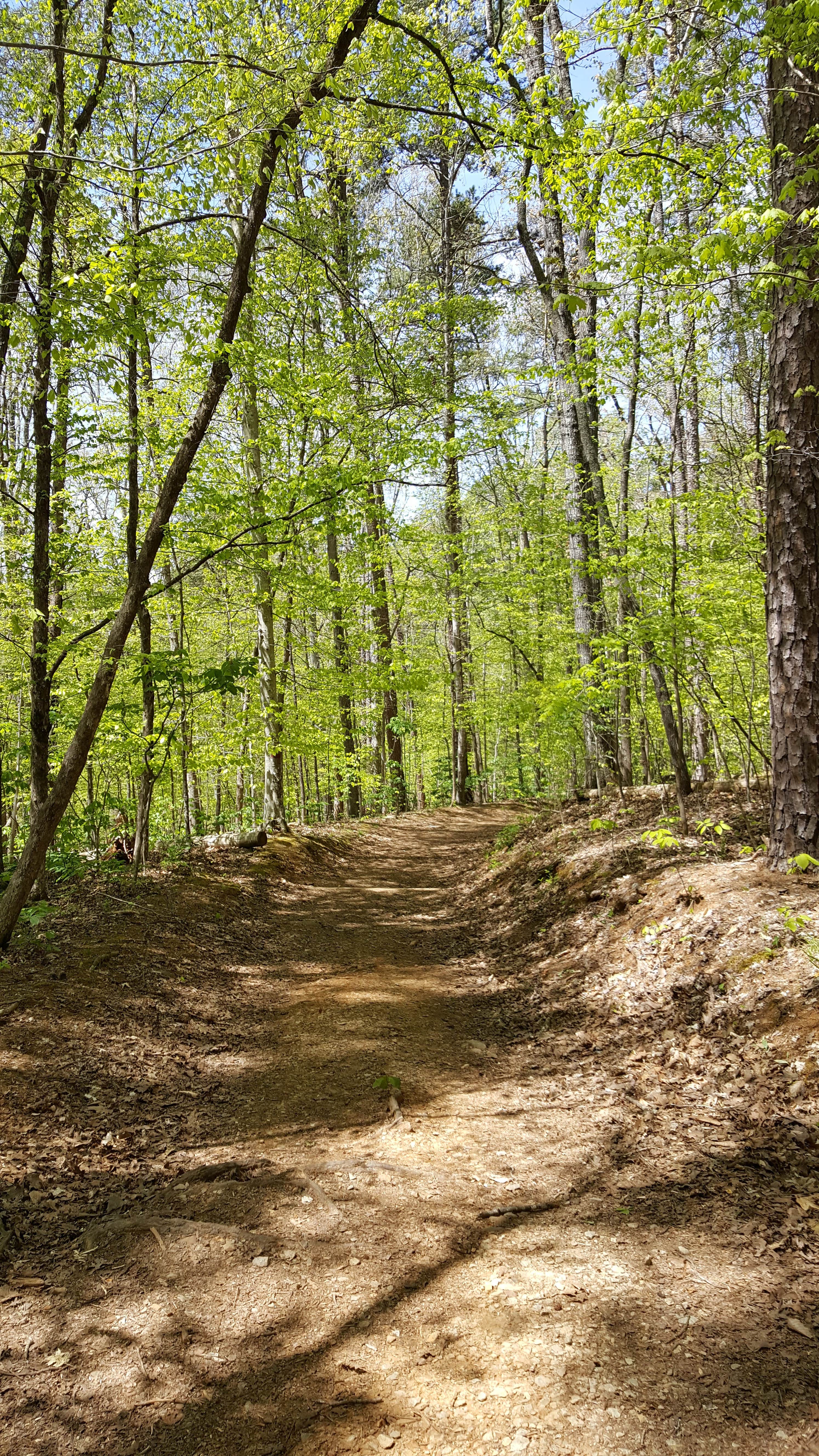 Camper submitted image from Eno River State Park Campground - 2