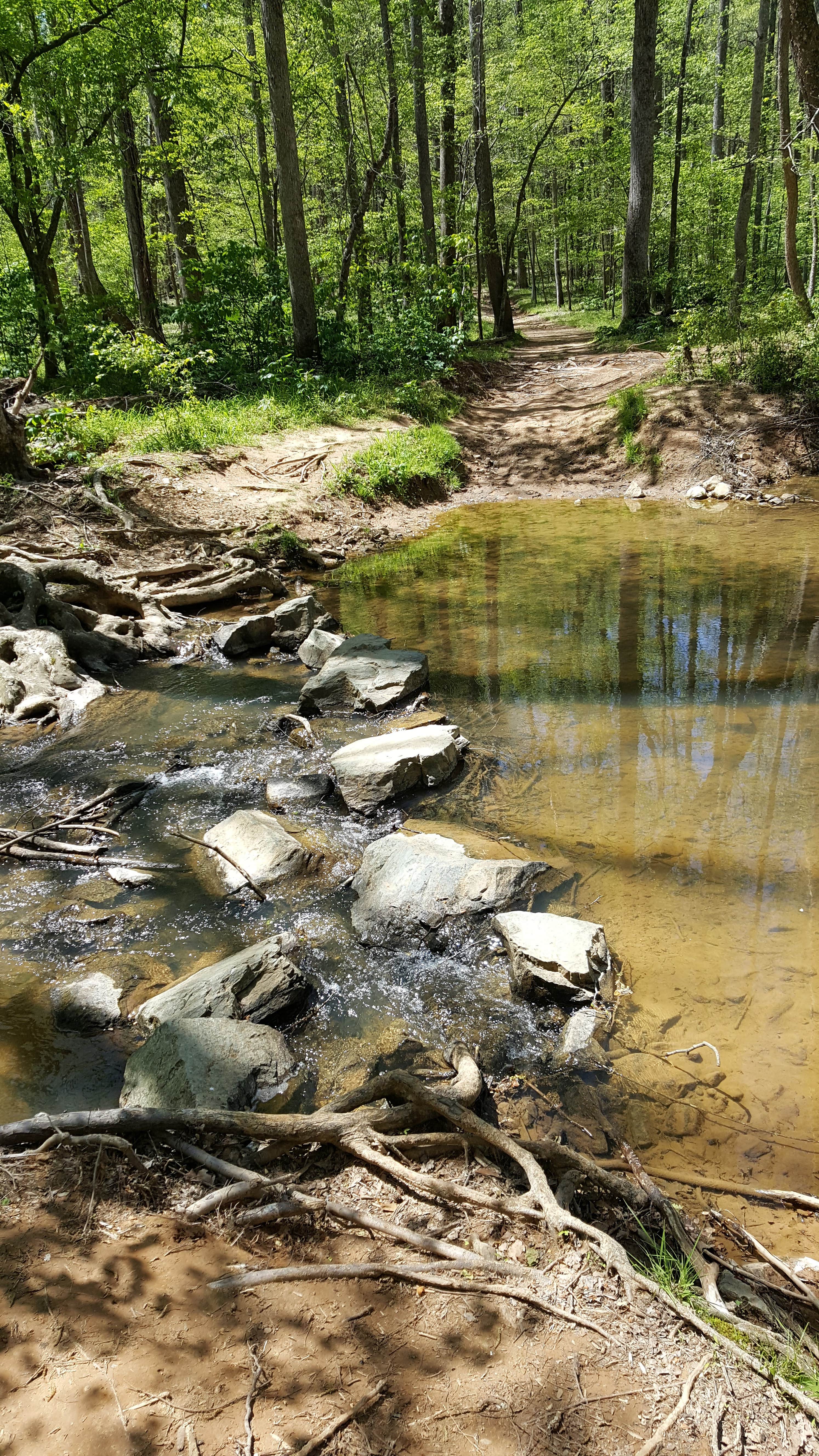 Camper submitted image from Eno River State Park Campground - 4