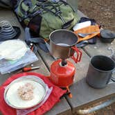 Review photo of Eno River State Park Campground by Chris B., June 18, 2016