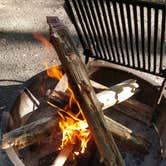 Review photo of Eno River State Park Campground by Chris B., June 18, 2016