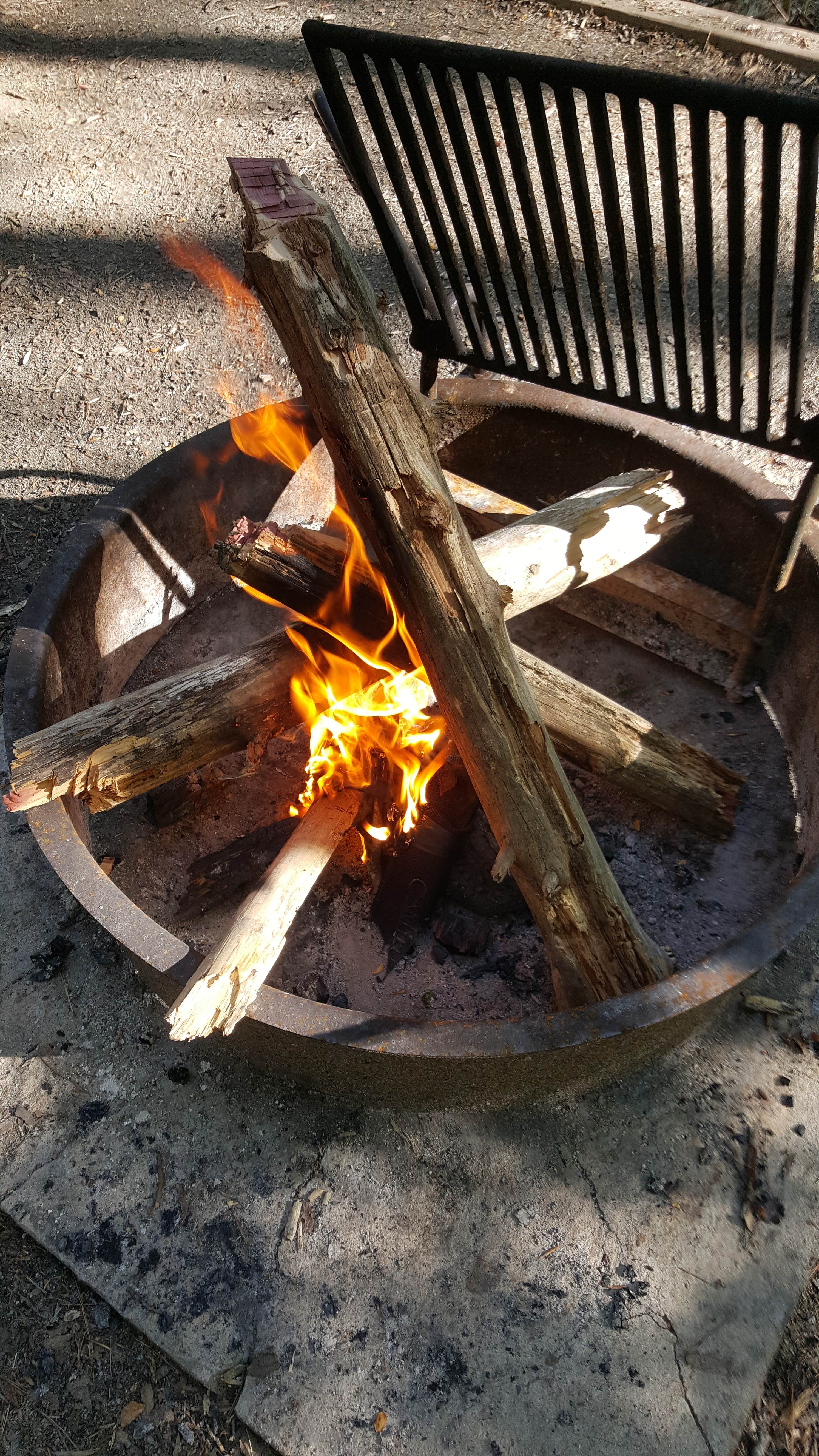 Camper submitted image from Eno River State Park Campground - 3
