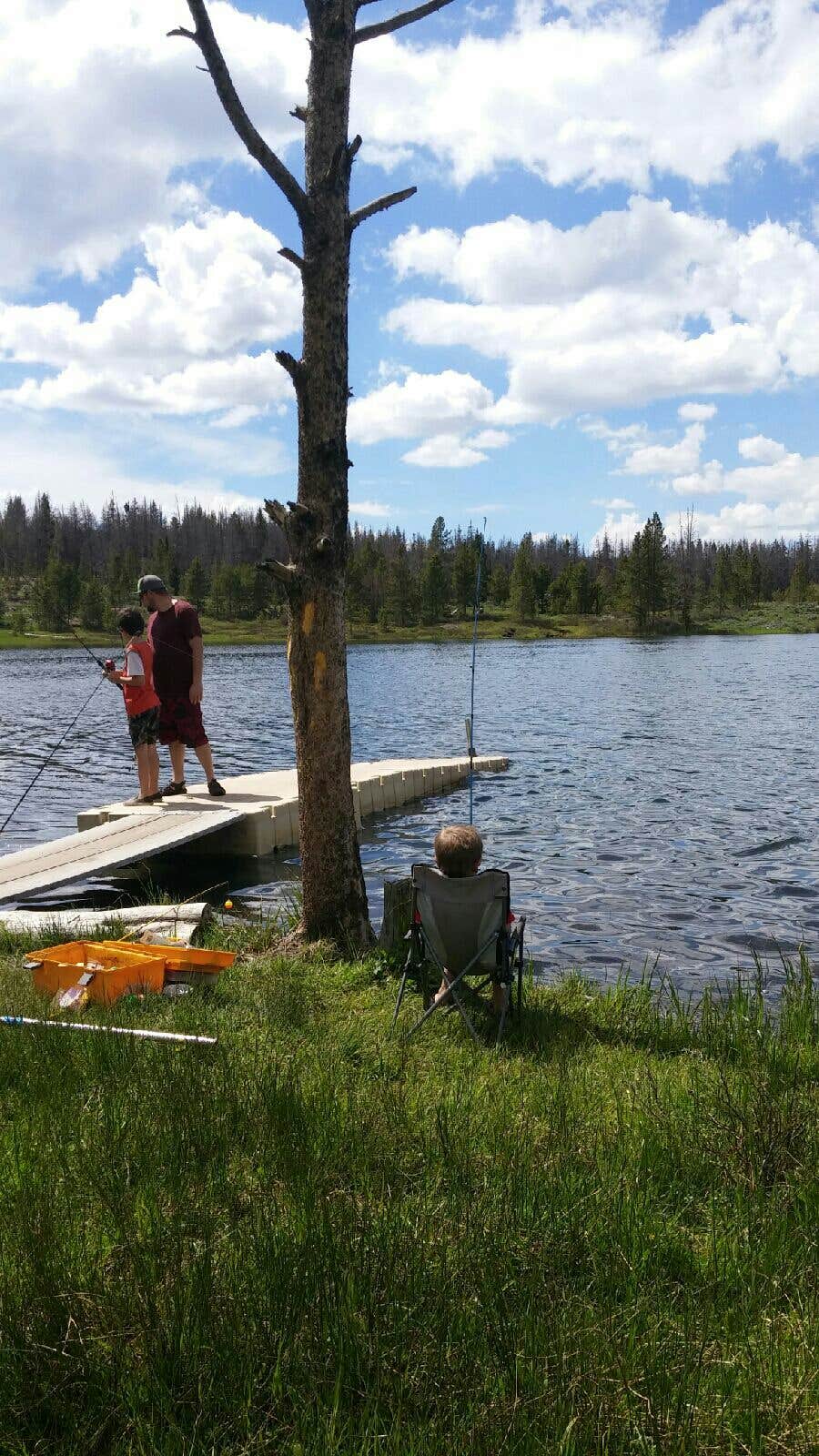 Camper submitted image from Marsh Lake Campground - 5