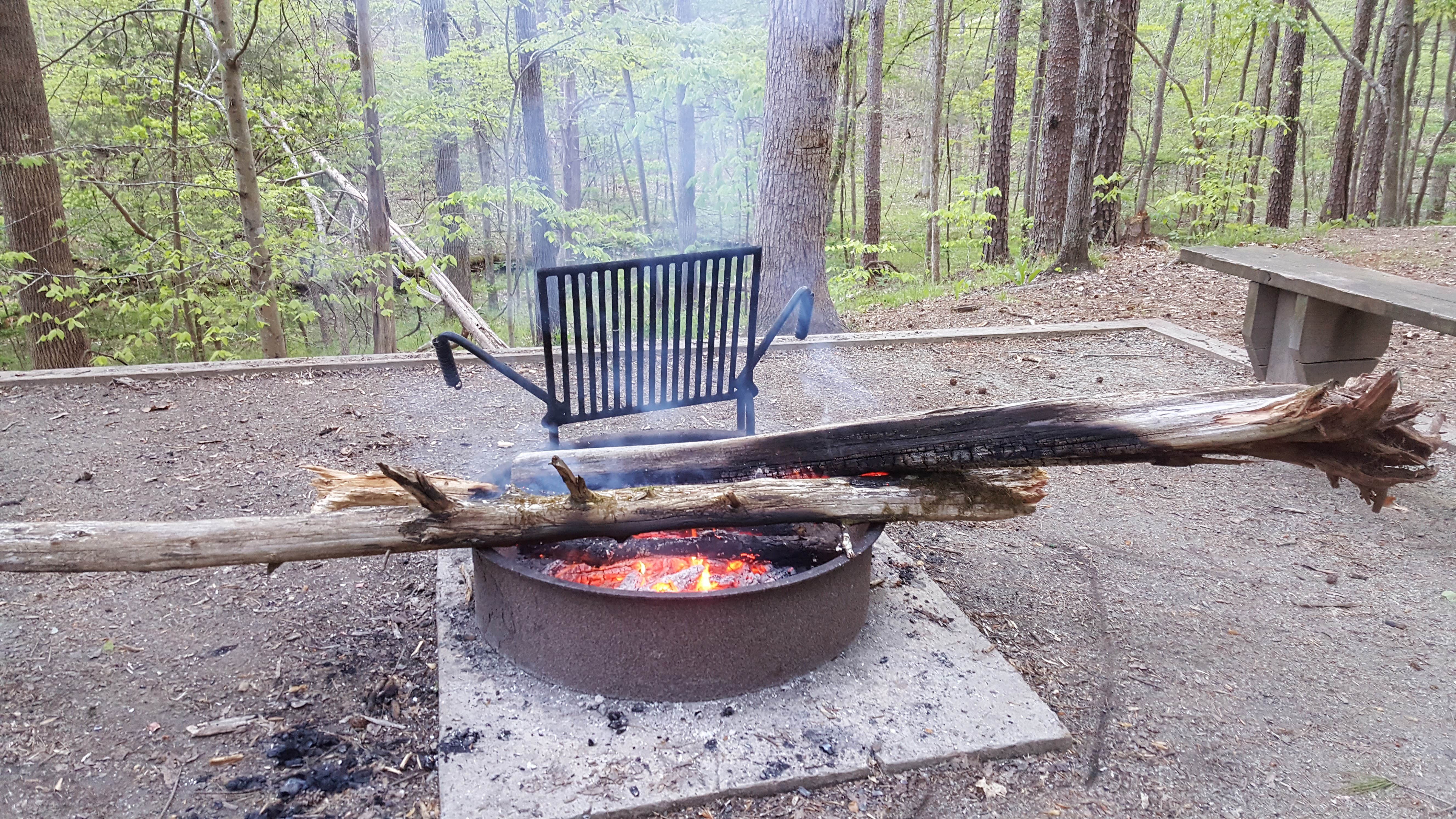 Camper submitted image from Eno River State Park Campground - 4
