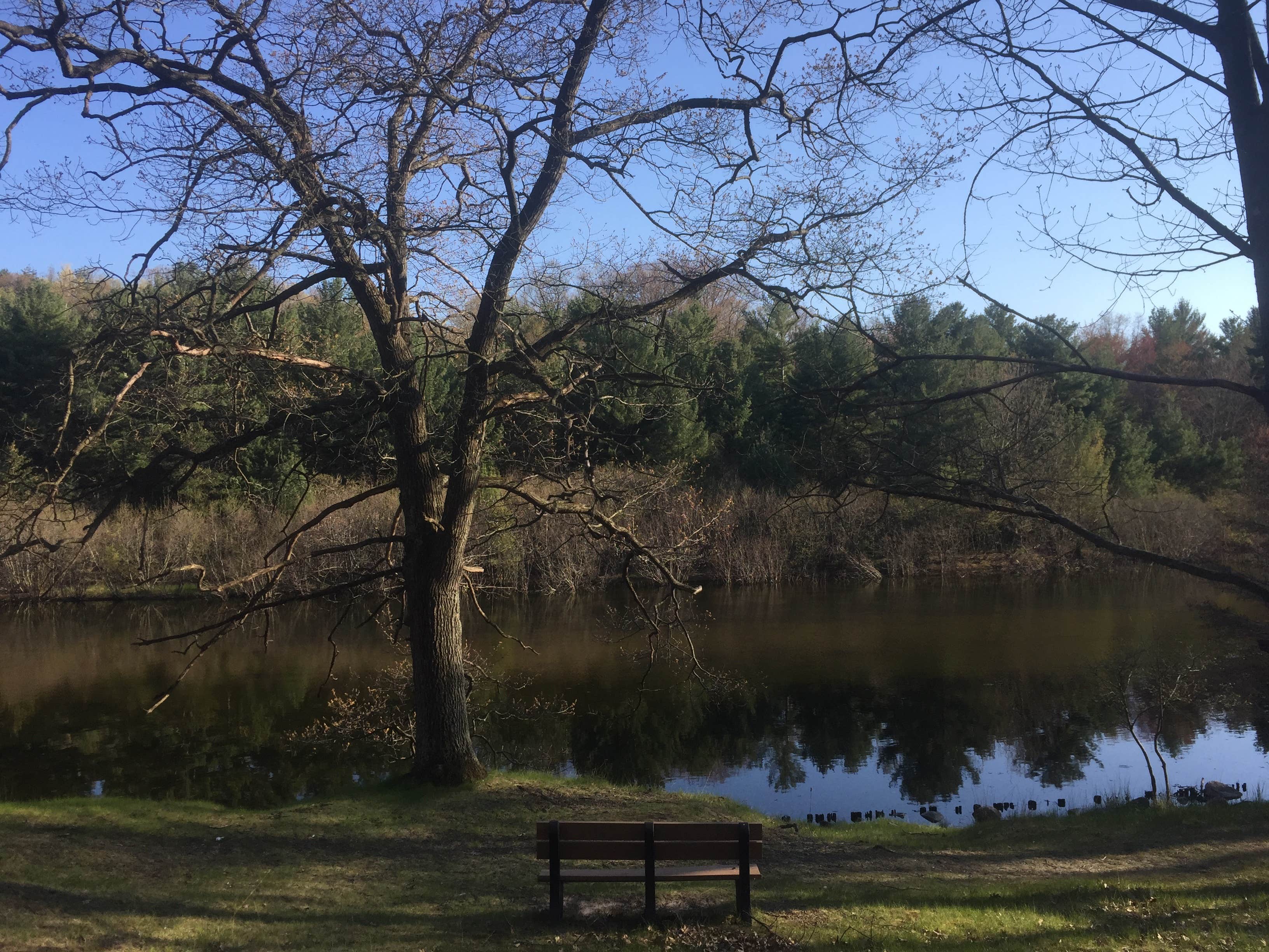 Camper submitted image from Pines Campground — Ludington State Park - 3