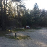Review photo of Pines Campground — Ludington State Park by Dan G., May 16, 2017