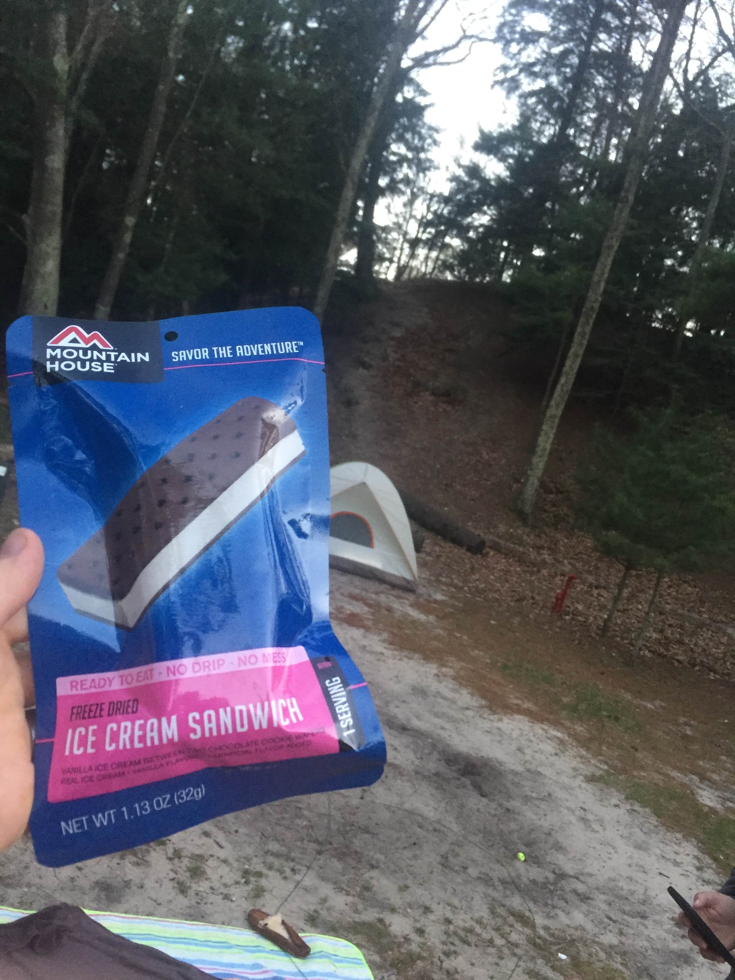 Camper submitted image from Pines Campground — Ludington State Park - 1