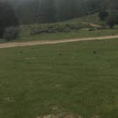 Review photo of Keysville South Recreation Site by Erin M., May 16, 2017