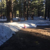 Review photo of Mammoth Mountain RV Park & Campground  by Erin M., May 16, 2017