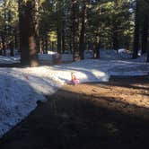 Review photo of Mammoth Mountain RV Park & Campground by Erin M., May 16, 2017