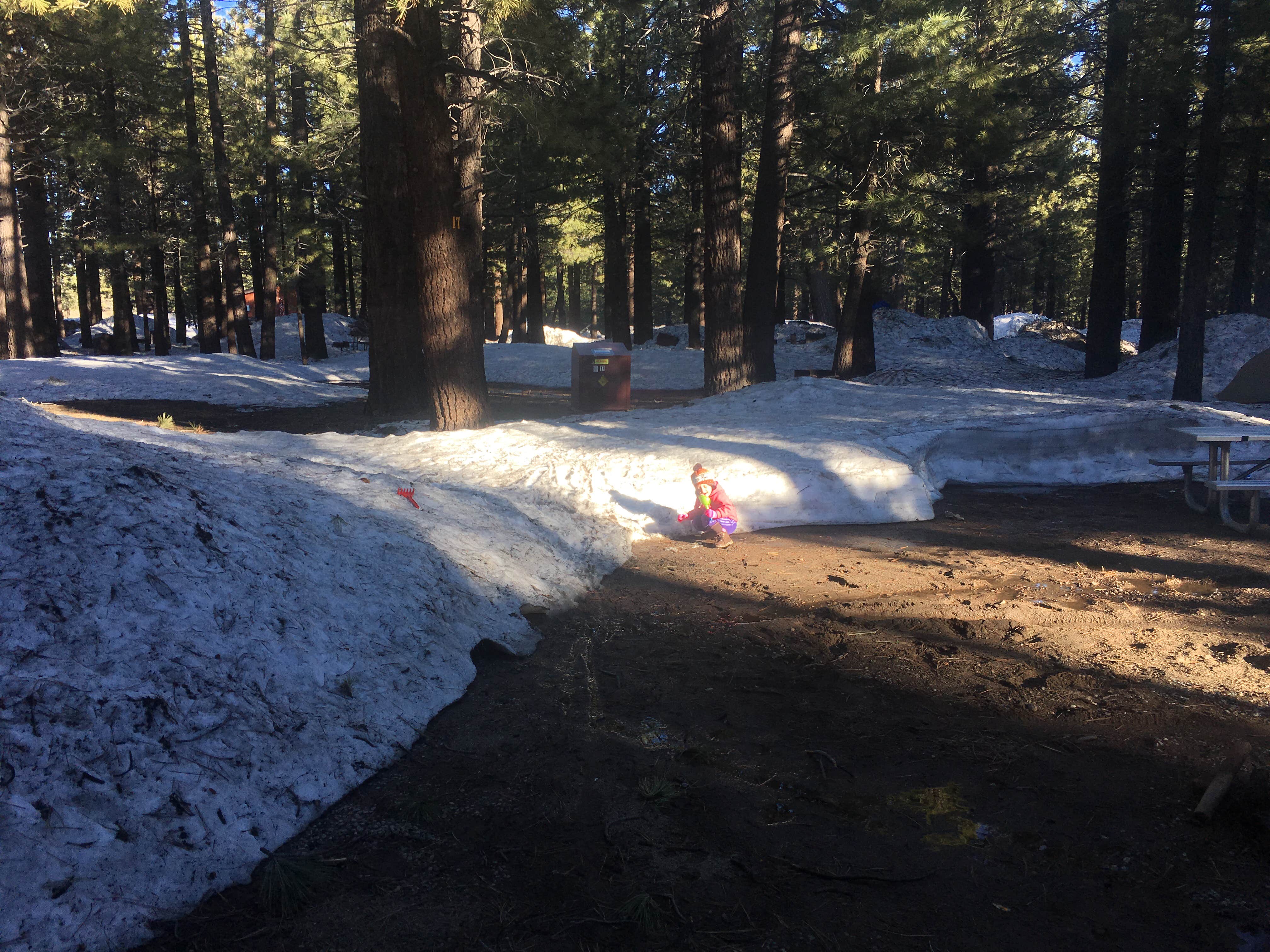Camper submitted image from Mammoth Mountain RV Park & Campground - 5
