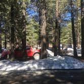 Review photo of Mammoth Mountain RV Park & Campground by Erin M., May 16, 2017