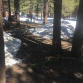 Review photo of Mammoth Mountain RV Park & Campground by Erin M., May 16, 2017