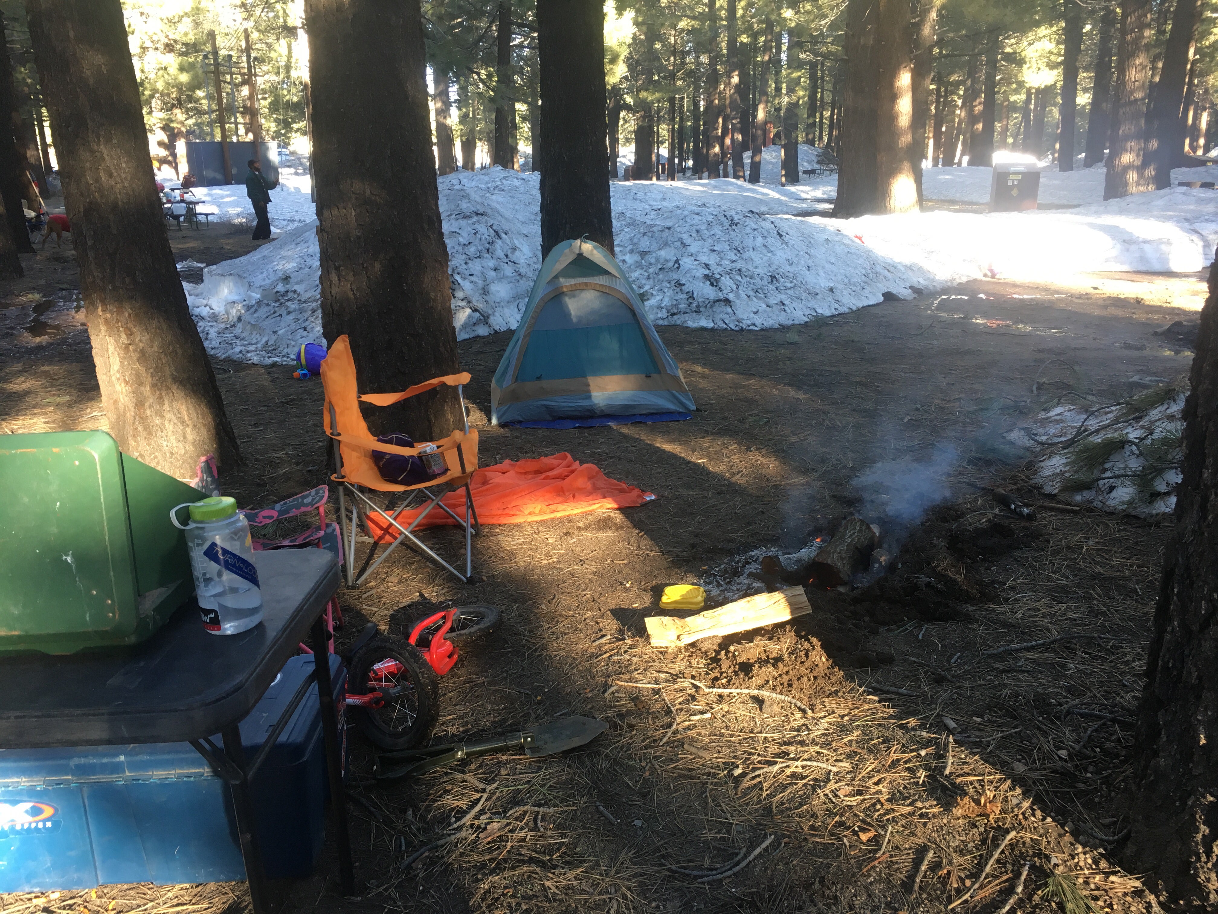 Camper submitted image from Mammoth Mountain RV Park & Campground  - 4