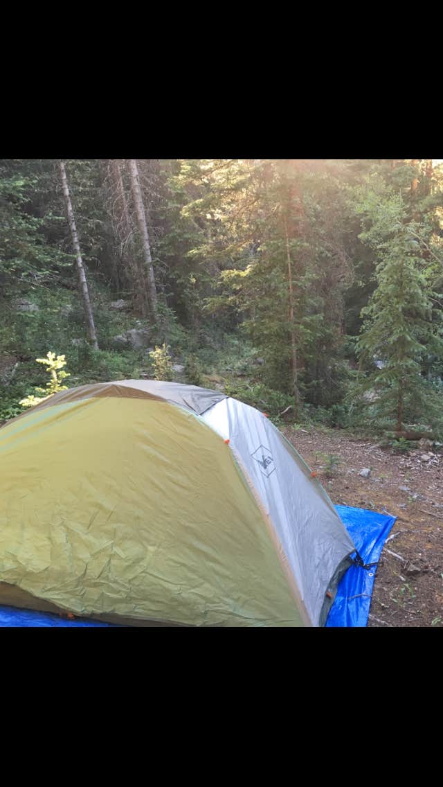 Matt M.'s photo at Guadalupe River RV Park and Campgrounds near Boerne, TX