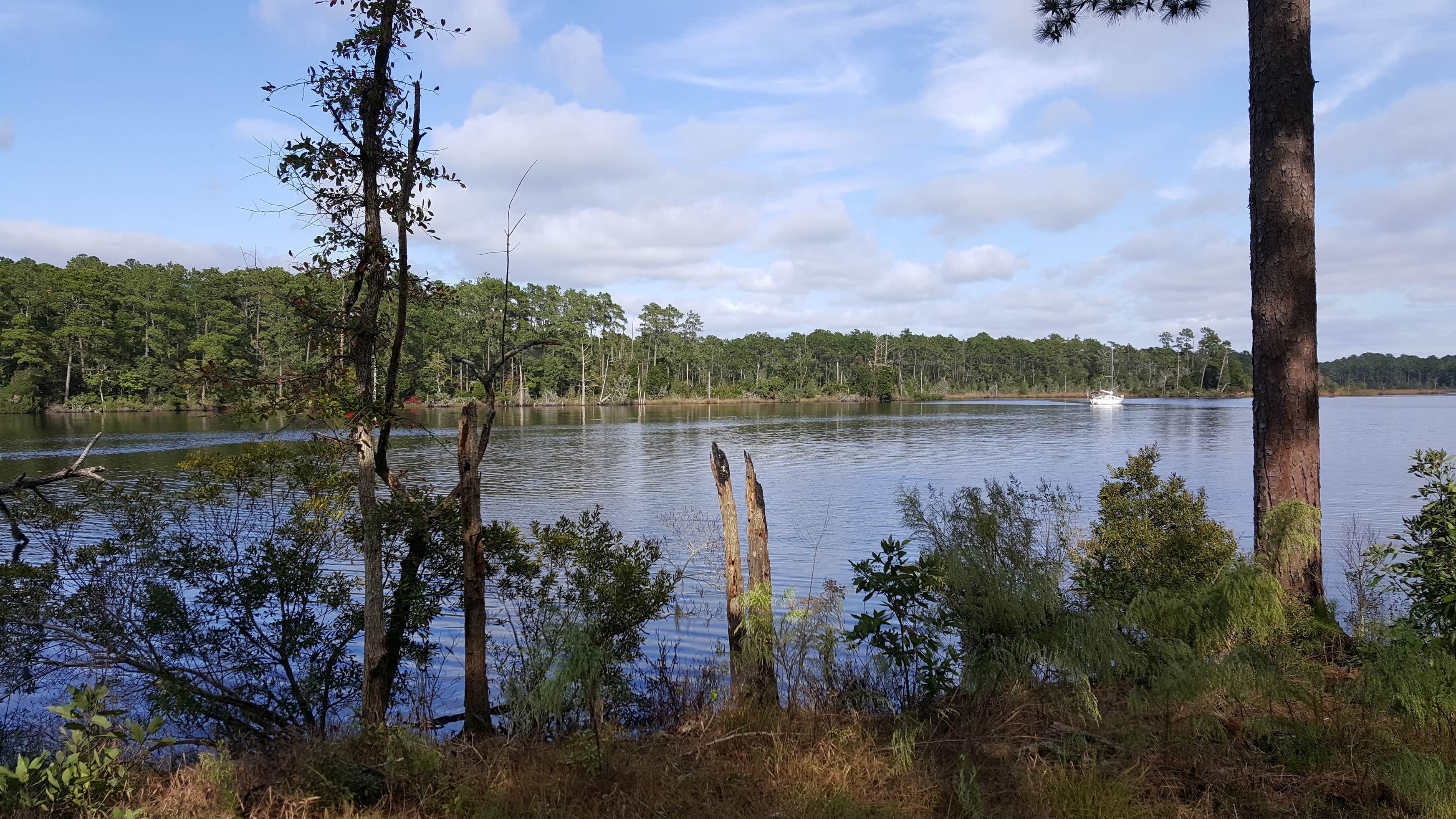 Goose Creek State Park Camping | The Dyrt