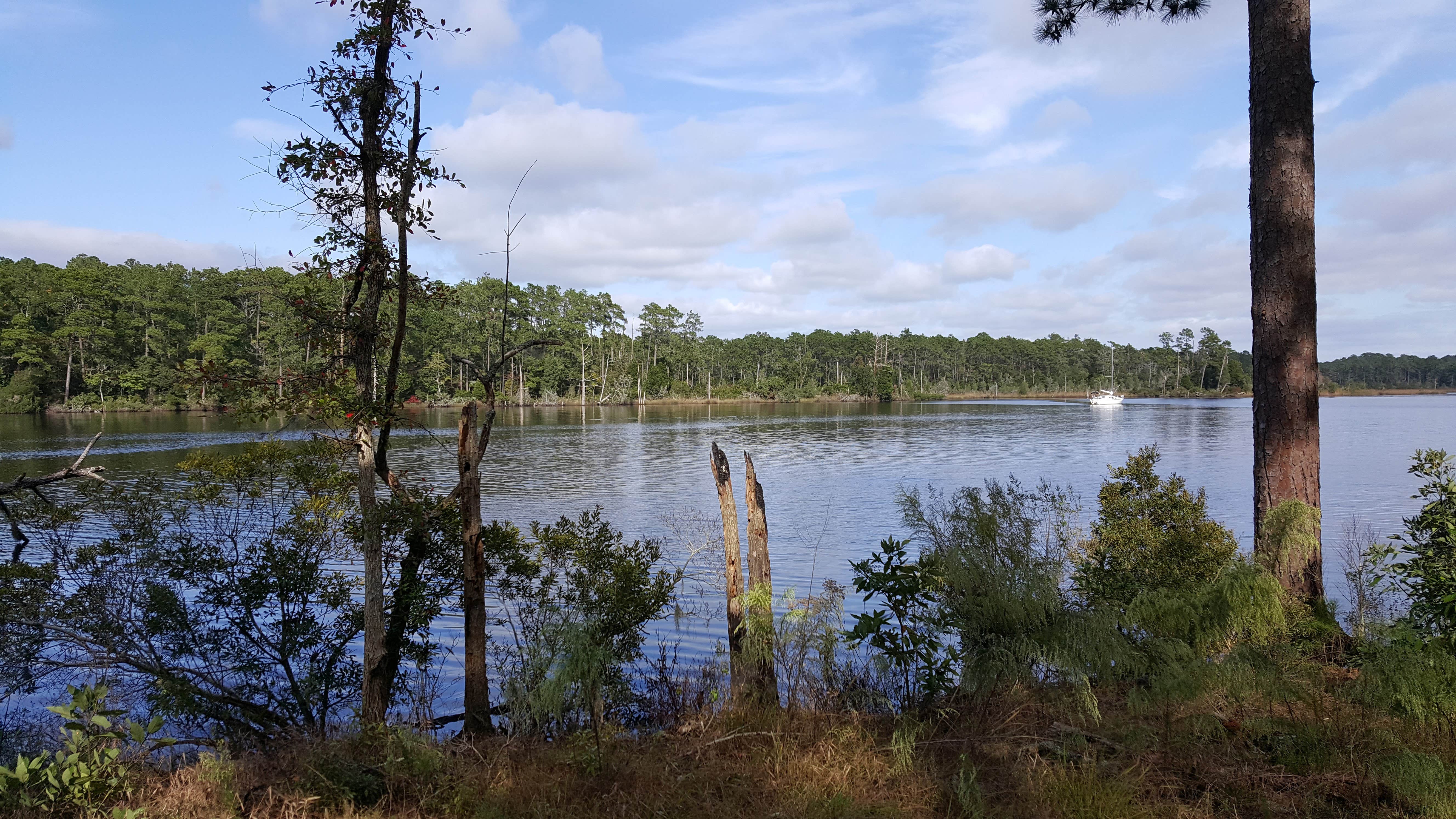 Camper submitted image from Goose Creek State Park Campground - 5