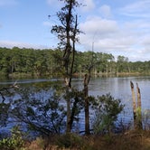 Review photo of Goose Creek State Park Campground by Chris B., June 18, 2016