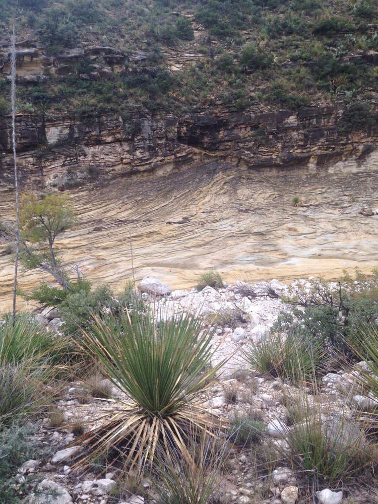 Camper submitted image from Dog Canyon Campground — Guadalupe Mountains National Park - 2