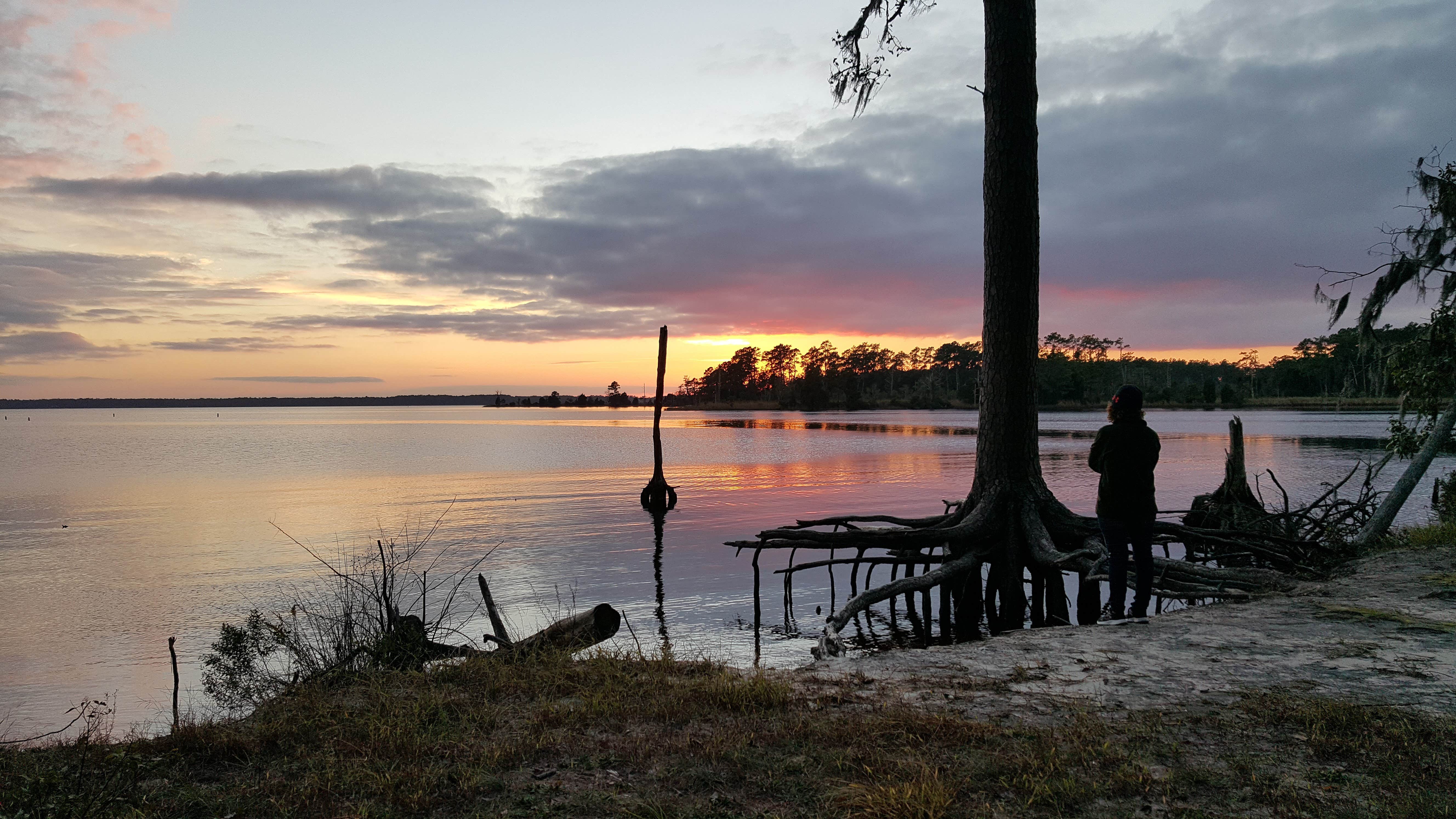 Camper submitted image from Goose Creek State Park Campground - 3