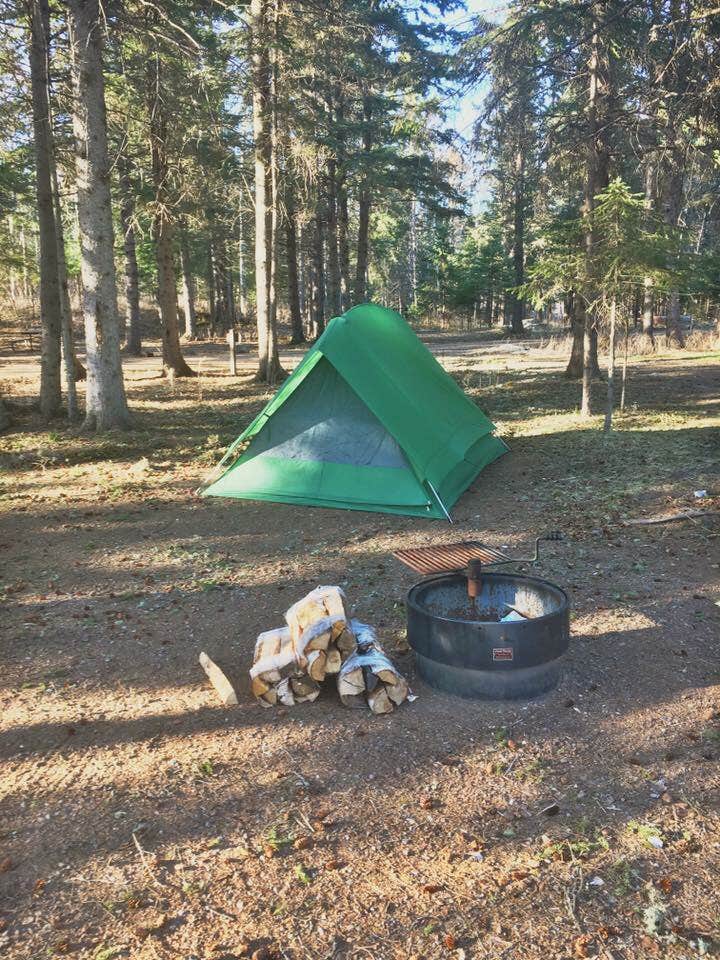 Bryan K.'s photo of tent camping at Judge C. R. Magney State Park Campground near Grand Marais, MN