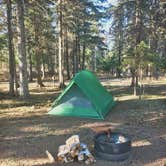 Review photo of Judge C. R. Magney State Park Campground by Bryan K., May 17, 2017