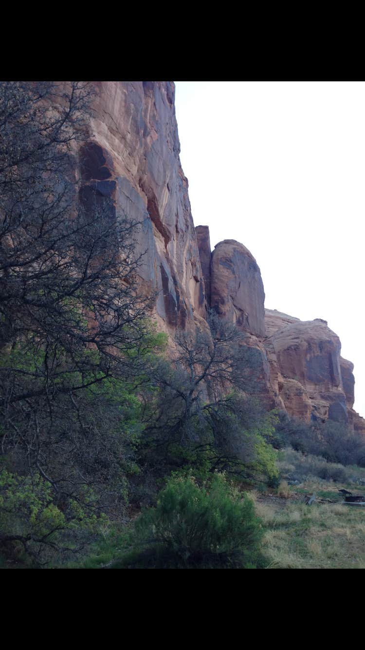 Camper submitted image from Williams Bottom Campground - 2