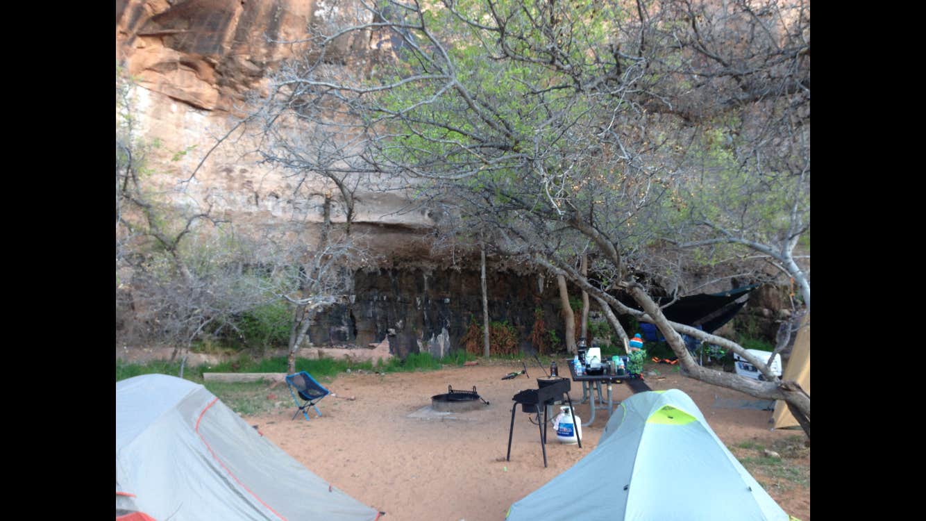 Camper submitted image from Williams Bottom Campground - 4