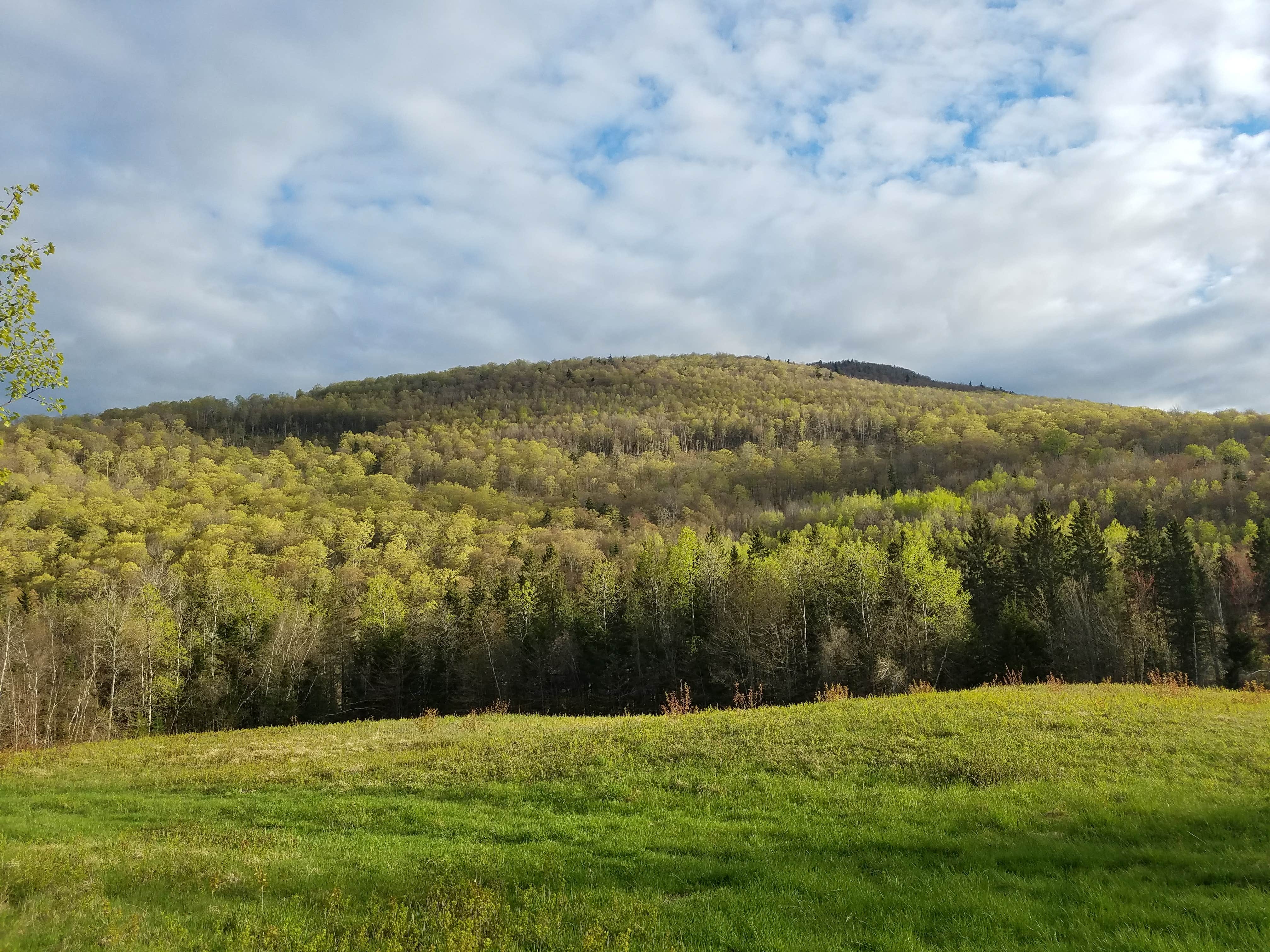 Camper submitted image from Texas Gap - 2