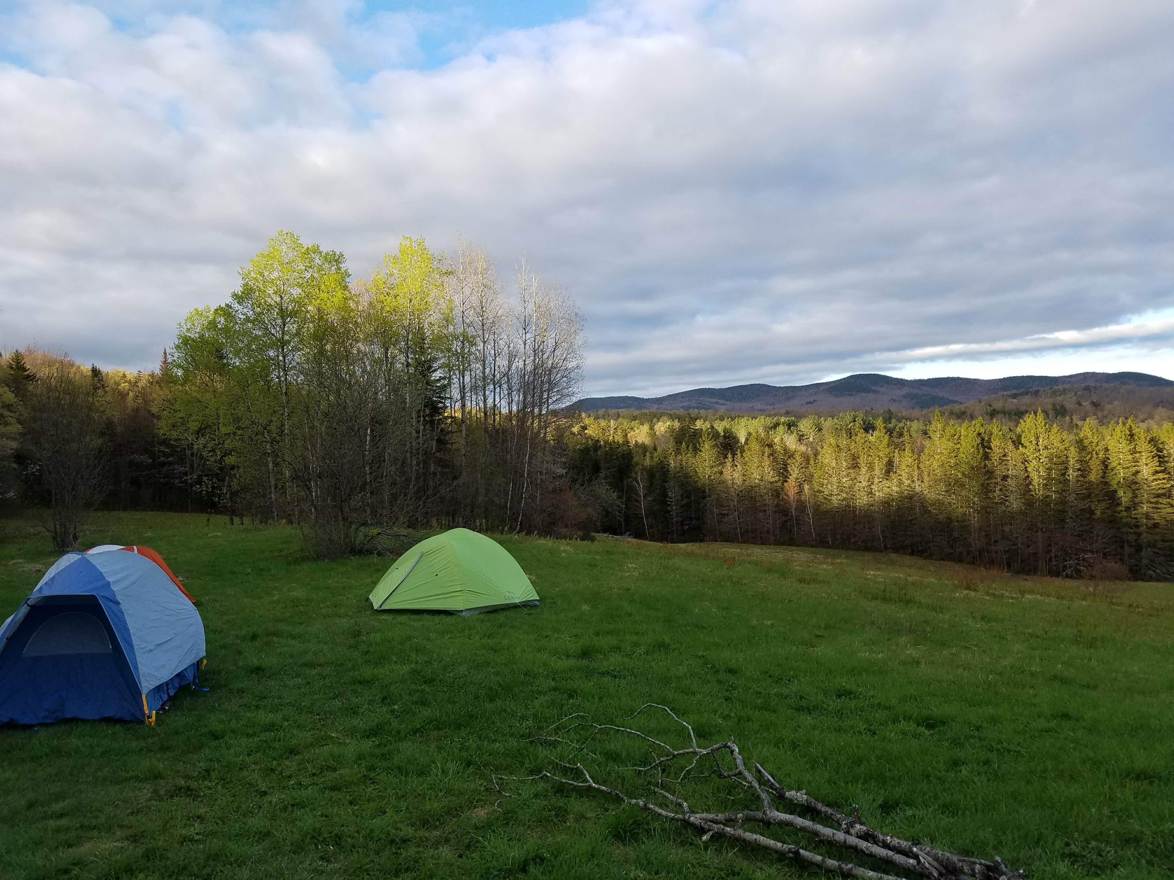 Camper submitted image from Texas Gap - 4