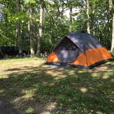 Review photo of Lewis Mountain Campground — Shenandoah National Park by Danielle V., June 18, 2016