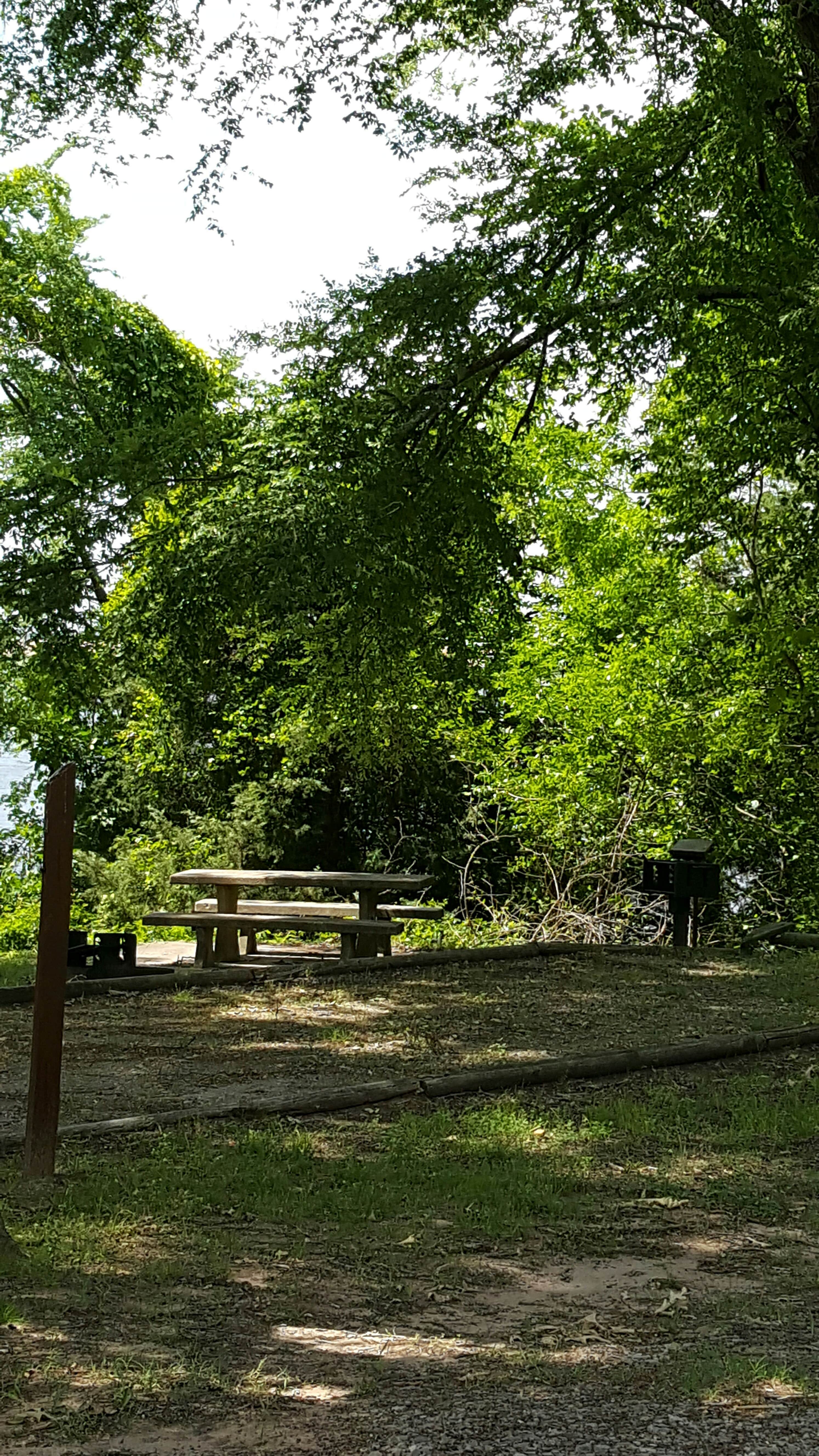 Camper submitted image from Pat Mayse Sanders Cove Recreations area - 4
