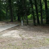 Review photo of Liberty Grove Campground — Cooper Lake State Park Doctors Creek Unit by Melanie W., May 17, 2017