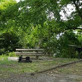 Review photo of Doctors Creek Unit — Cooper Lake State Park by Melanie W., May 17, 2017