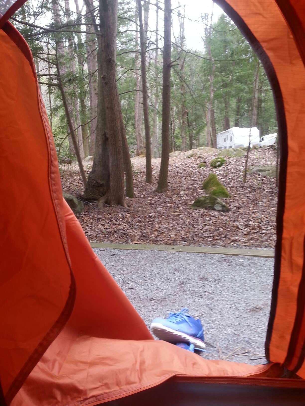 Tonya B.'s photo at Elkmont Campground — Great Smoky Mountains National Park near Great Smoky Mountains National Park