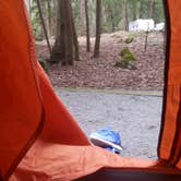 Review photo of Elkmont Campground — Great Smoky Mountains National Park by Tonya B., May 17, 2017