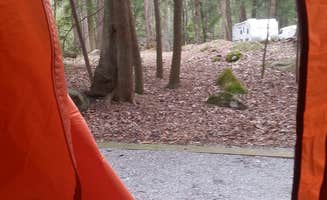 Tonya B.'s photo at Elkmont Campground — Great Smoky Mountains National Park near Great Smoky Mountains National Park