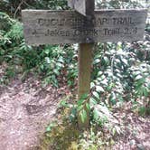 Review photo of Elkmont Campground — Great Smoky Mountains National Park by Tonya B., May 17, 2017