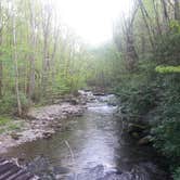 Review photo of Elkmont Campground — Great Smoky Mountains National Park by Tonya B., May 17, 2017