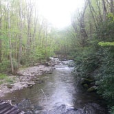 Review photo of Elkmont - Great Smoky Mountains National Park by Tonya B., May 17, 2017